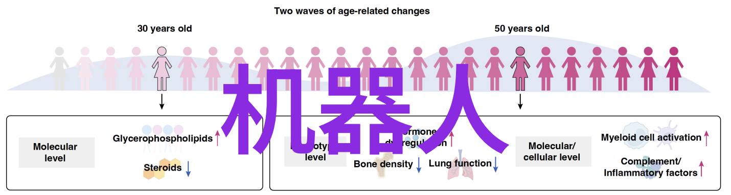 传统化工输送设备面临哪些挑战和限制