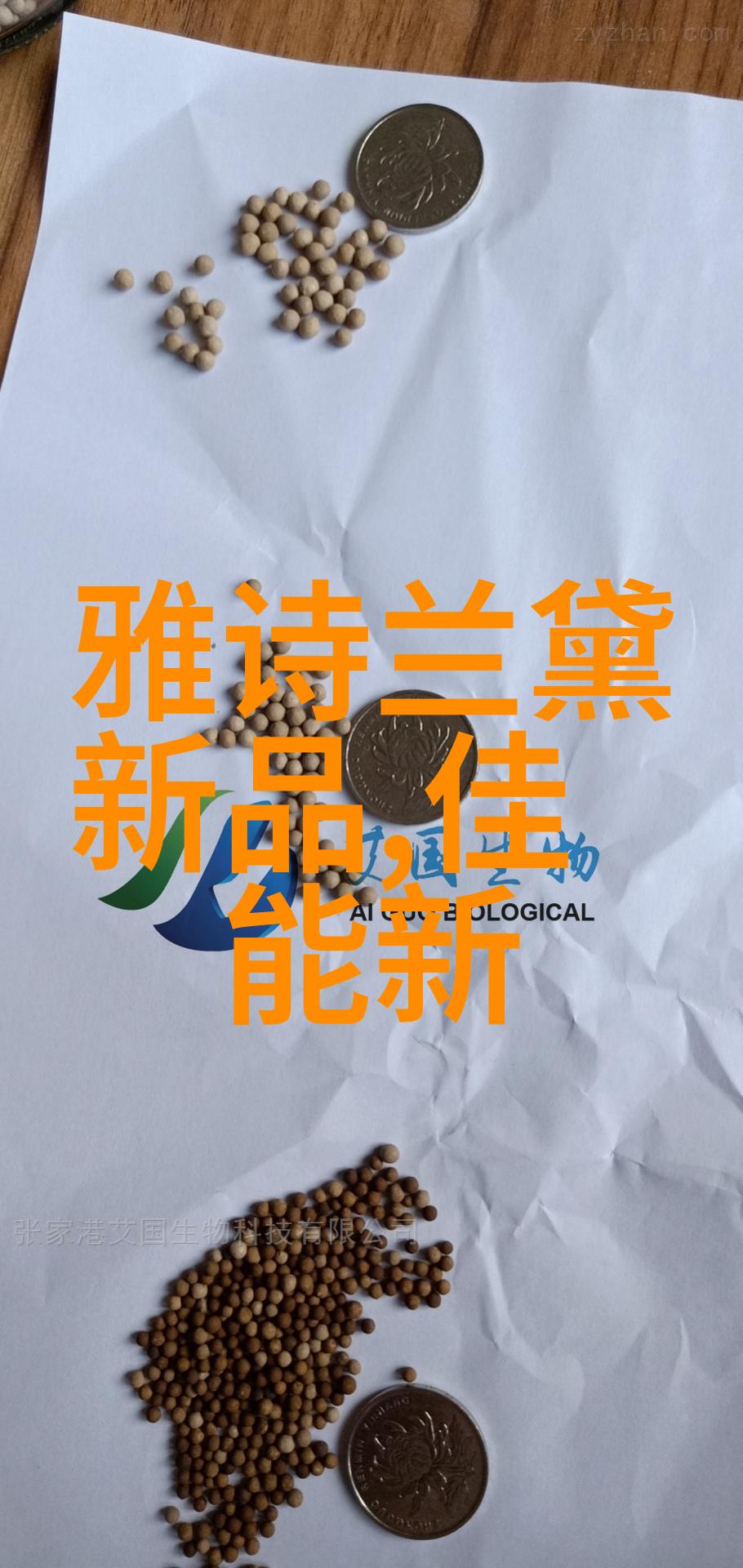 数字鸿沟加剧智能化方案背后的挑战