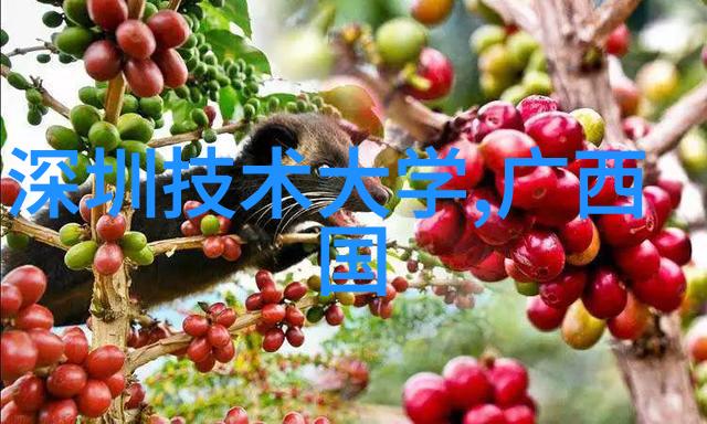 氯化钙干燥设备高效脱水技术的关键