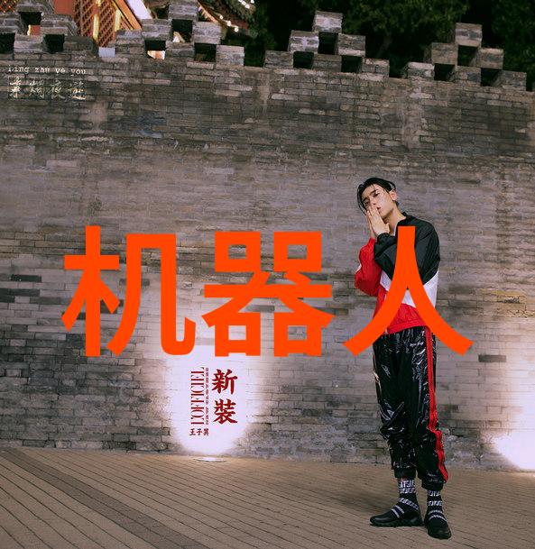 主题我是如何把丝网填料分块的