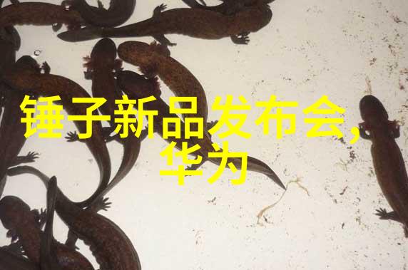 中国体育生GARY的飞机之旅XXNN赛场上的奇迹