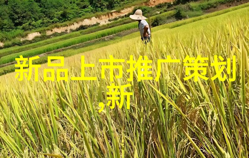 微波干燥设备高效食品烘焙用途