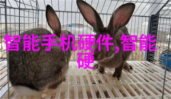 氯乙醇环境污染与健康隐患的双刃剑