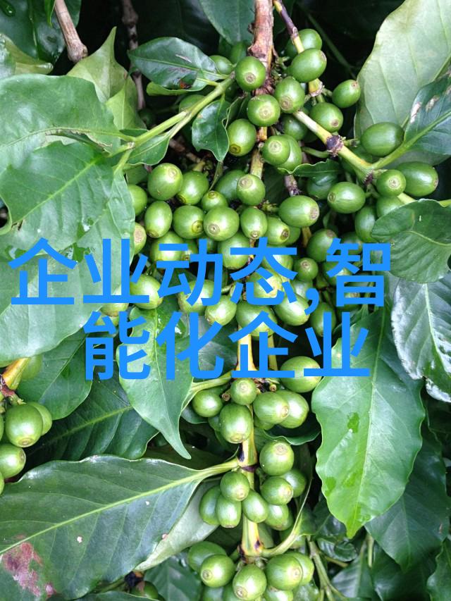 6T锅炉除尘器