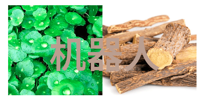 耐腐蚀材料的创新应用不锈钢丝网填料网在工业处理中的作用探究