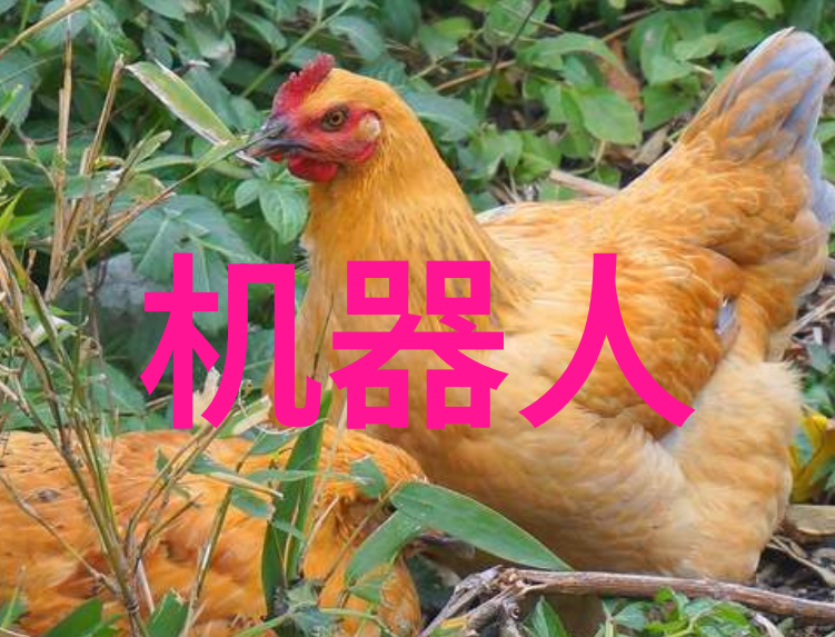 在全球气候变化背景下巴浦国家可能会如何更新或扩建其现有的风力发电设施