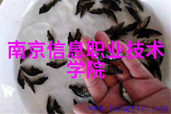 智能物流未来物流行业的科技革命