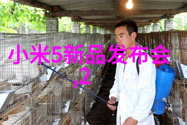 广东财经大学我在广州的学术冒险从课堂到实习再到梦想的起点
