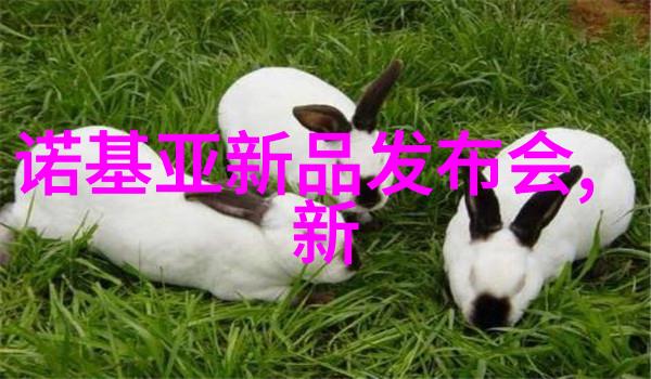 新市场开拓解读未来的商机与挑战