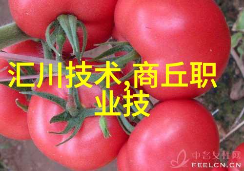 穿戴在掌心的智慧智能手机背后的神秘面纱