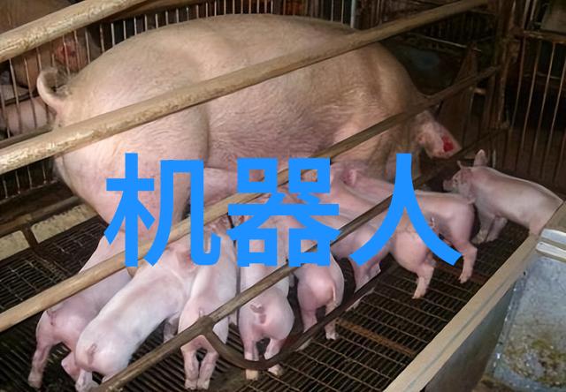 女朋友变小喷泉视频情侣趣味互动