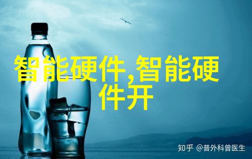追逐扇贝从寻找腿到品尝海鲜的奇妙旅程