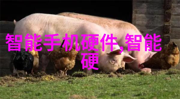不锈钢奇迹探索各种不锈钢制品的广泛应用与设计创新