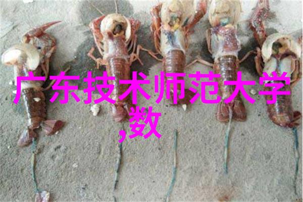 钢管材质分类及其在工程中的应用