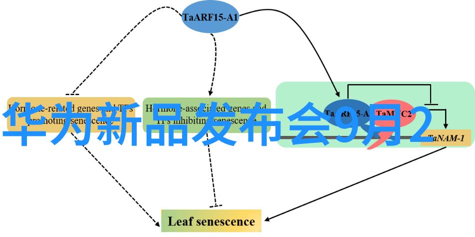 地下水源的秘密一家水处理公司背后的神秘事件