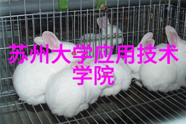 债务山脉下的金融风险管理政府和企业应对策略探讨