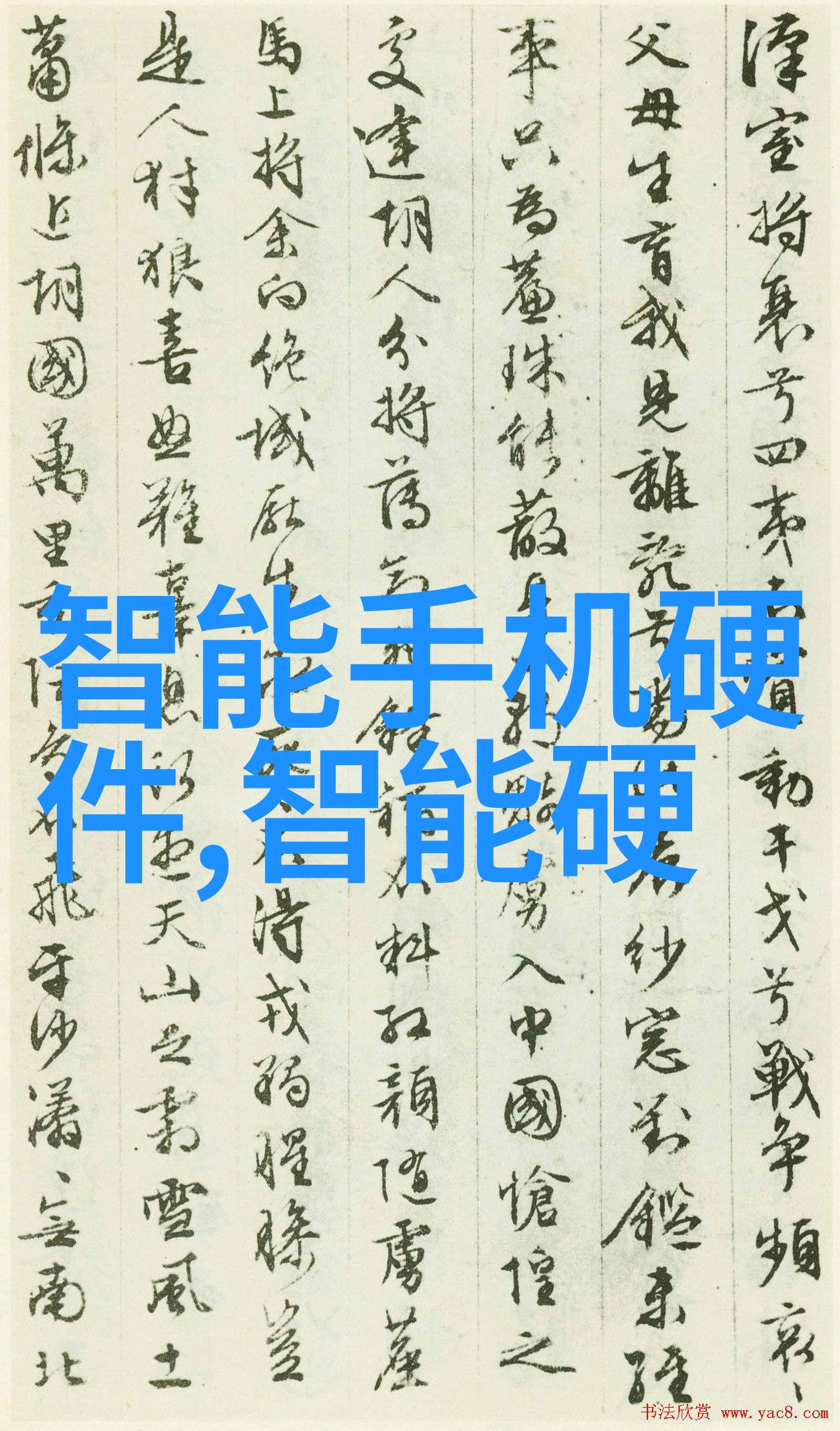 财经大学排行榜学术巅峰的竞技场