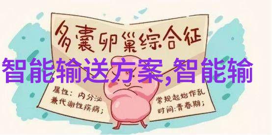 制定成功项目资金申请报告的步骤