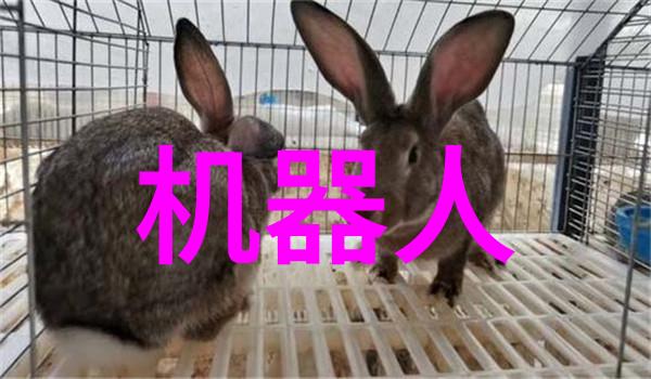 未来经济趋势下的教育改革广西国际商务职业技术学院案例研究