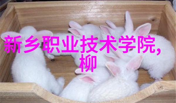 中国科学技术大学科技创新与未来发展的基石