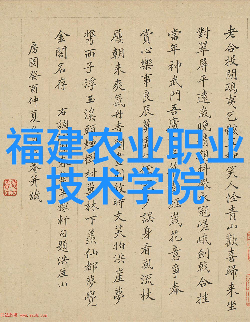 黑皮妹的新篇章与Z的奇妙相遇