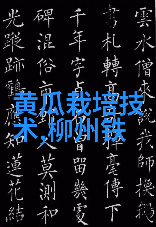 专利智库探索中国专利宝藏的秘密之门