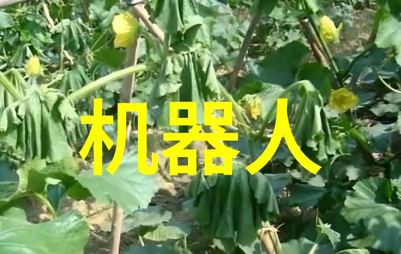 文学作品-沉默的守护者甄珠全文阅读探秘