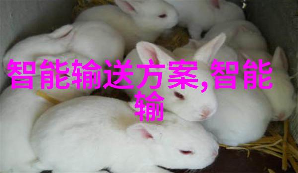 寒流逆袭杭州制冷设备的回收奇谭