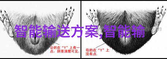 智能交通时代到来中国城乡道路管理将何去何从