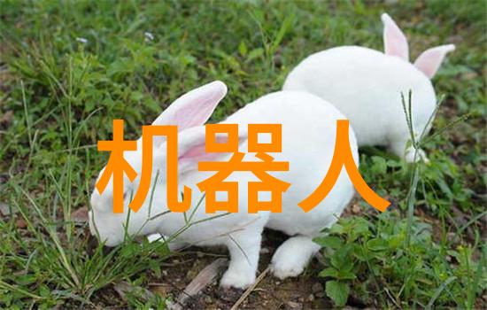 触动心灵的文字探索垂涎小说背后的魅力