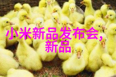 北森人才测评揭秘你是不是真正的工作高手
