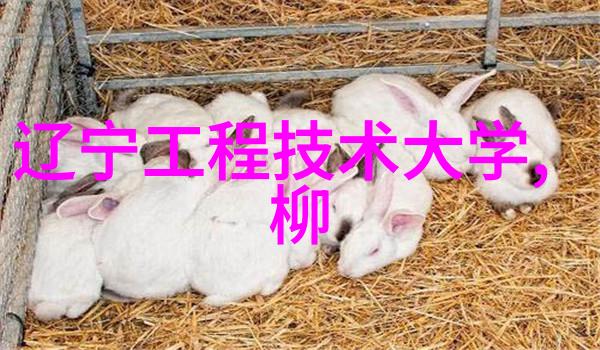 餐具消毒设备清洁之剑卫生之盾