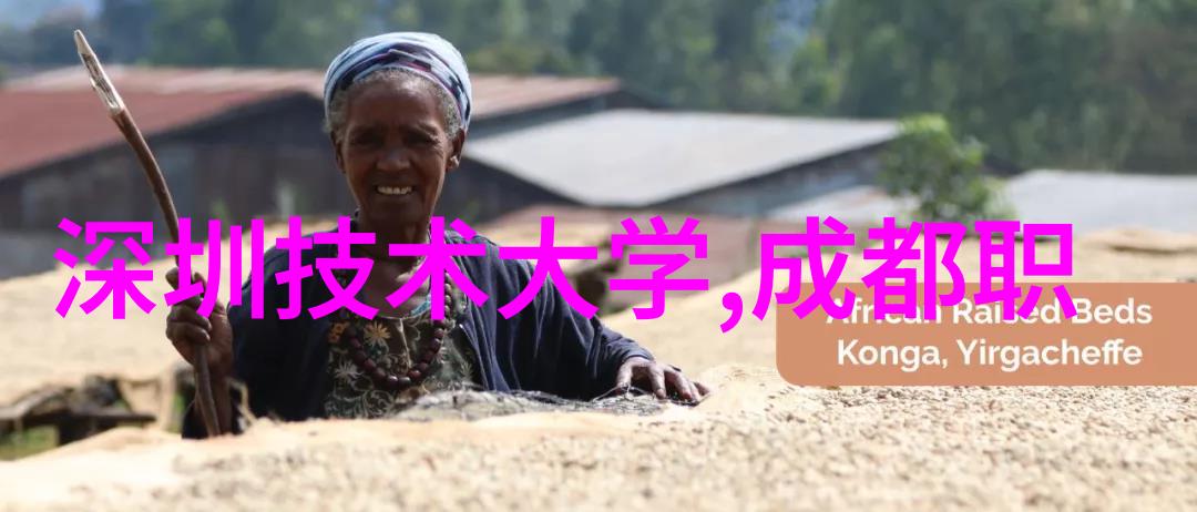 药品直接包装机械我是如何学会的包装每一颗药丸的故事