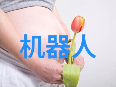 化工灌装机械精准流体控制的艺术
