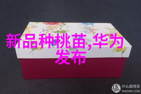 自我总结报告回顾过去展望未来我又成长了多少