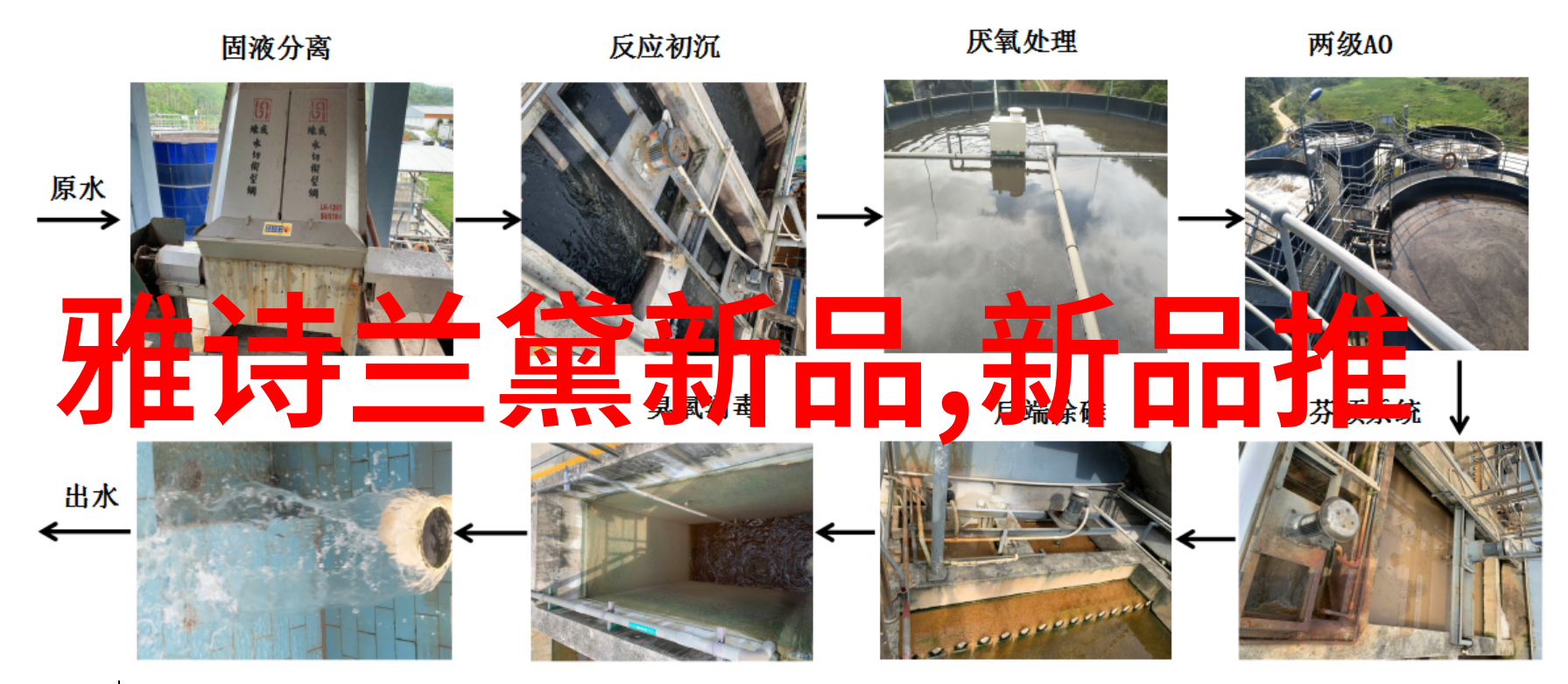 中国体育代表团特制飞机空中胜景与运动精神的交响