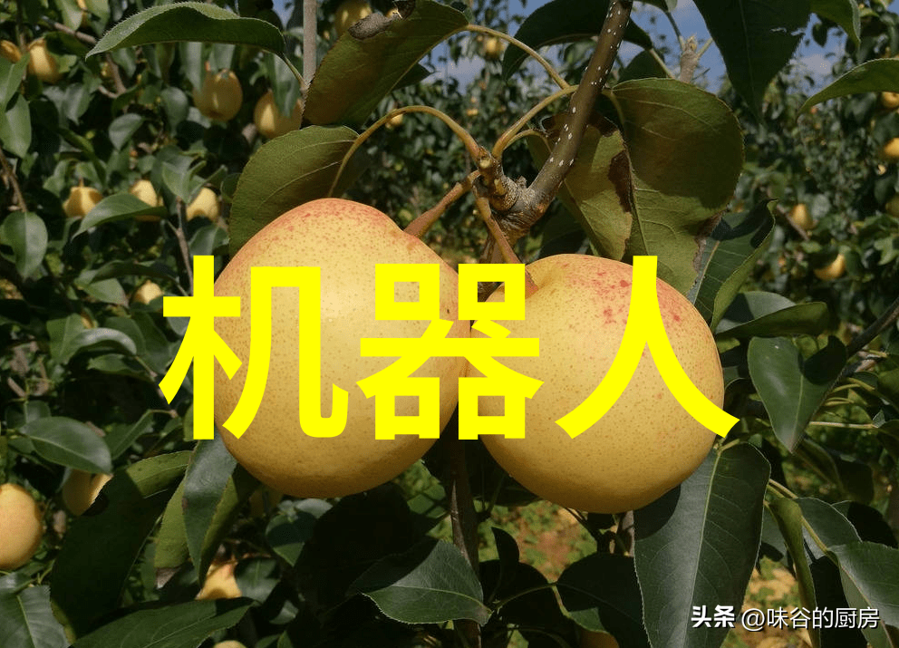 如何处理可行性的潜在风险和挑战一份有效的可行性评估报告应该如何处理这些问题