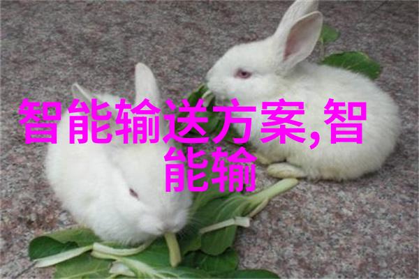 梦幻之旅探索未知的旅游奥秘