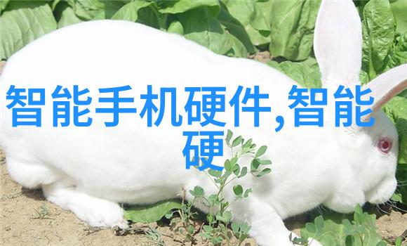 药物制剂设备-理解药物制剂设备关键技术与应用概述