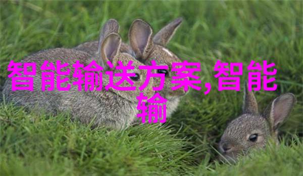 辐射灭菌设备高效安全的医疗器械消毒解决方案