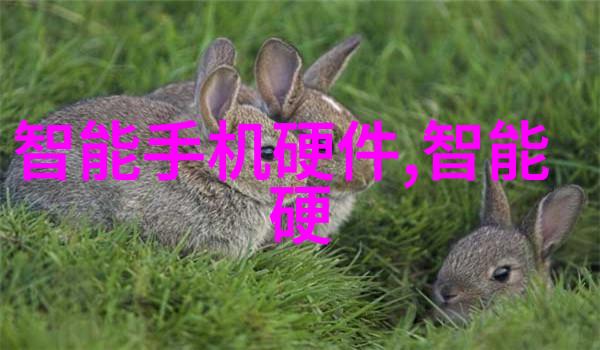 金属的深度探究不锈钢的精细工艺
