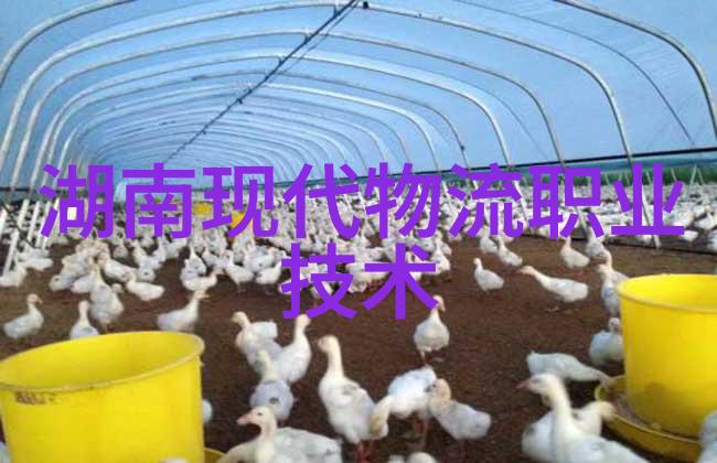 分散机厂家技术革新与市场前景