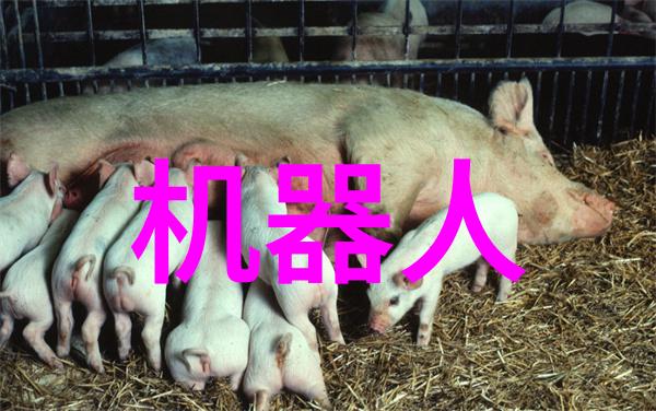 液力耦合器的秘密生活当它们不再只是传动系统中的默默无闻