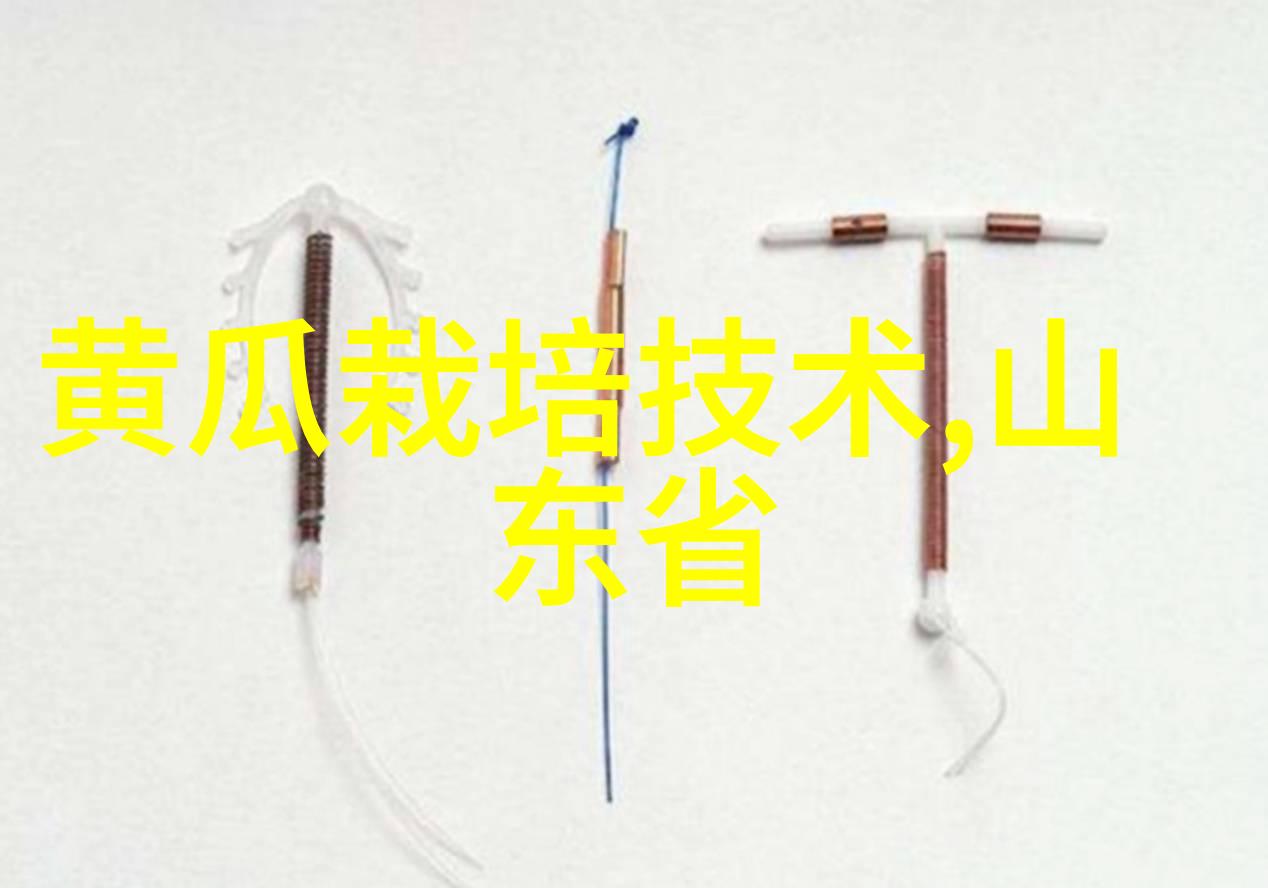 中国中车十年后股价预测从领跑者到稳健增长者