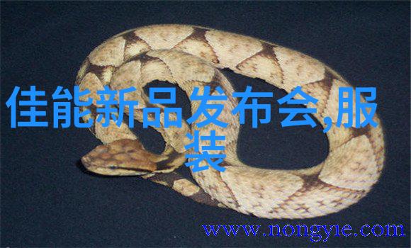 财富启航新浪财经的股票奇缘