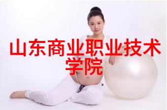 军用软件测评资质征服技术的新纪元