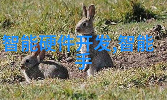 冰川之城制冷设备厂的霜雪传奇