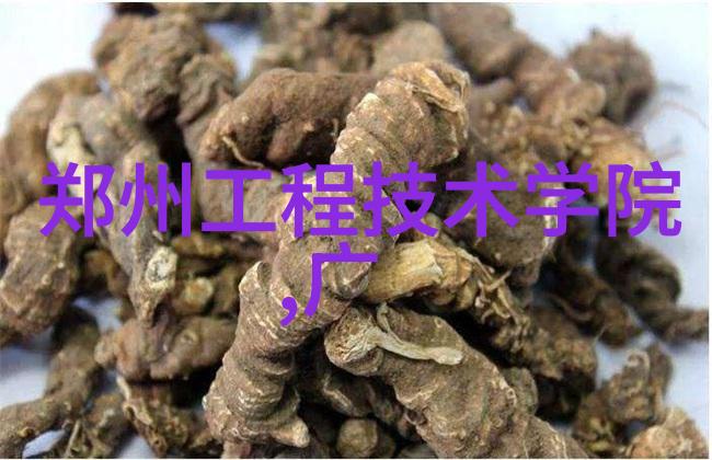 CHINESEGARY中国城市化的未来与挑战