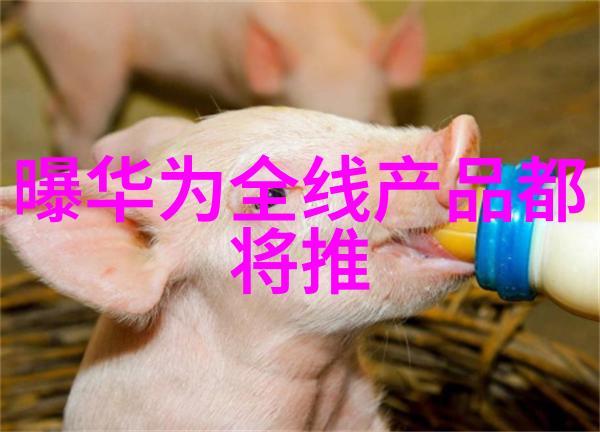 1.2厚不锈钢304板价格查询了解市场动态与采购指南