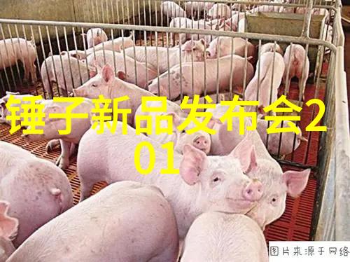化工膏药机械机器人助手能否取代传统的生产流程